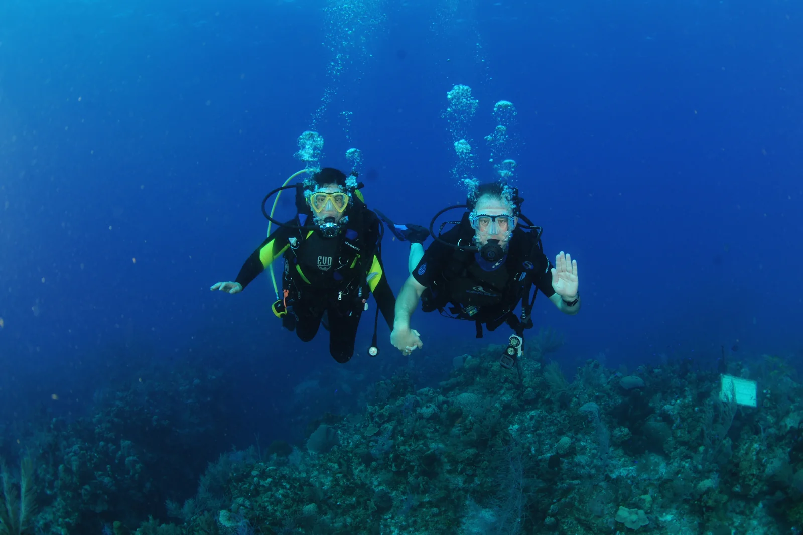 Two scuba divers holding hands over a coral reef
                      in deep blue water, one waving at the camera.