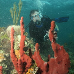 SCUBA